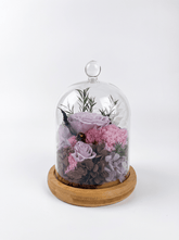 Carnation Bell Jar - Paddle Pop Purple - Flowers - Preserved Flowers & Fresh Flower Florist Gift Store