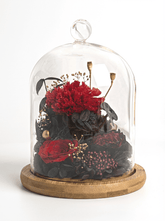 Carnation Bell Jar - Red Garnet - Flowers - Preserved Flowers & Fresh Flower Florist Gift Store