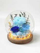 Carnation Blowball - Blue - Flowers - Preserved Flowers & Fresh Flower Florist Gift Store