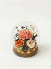 Carnation Blowball - Cuppa - Flowers - Preserved Flowers & Fresh Flower Florist Gift Store