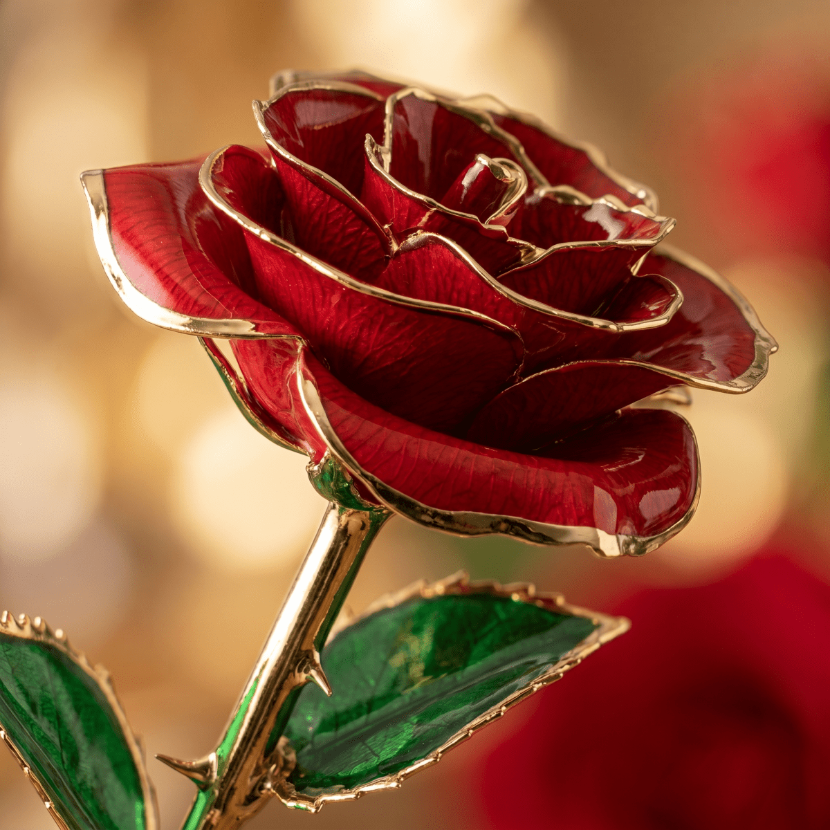 Eternal Preserved Rose Bloom - Real Rose Preserved - Eternal Love Series - Flowers - Rose Pink - Preserved Flowers & Fresh Flower Florist Gift Store