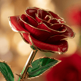 Eternal Preserved Rose Bloom - Real Rose Preserved - Eternal Love Series - Flowers - Rose Pink - Preserved Flowers & Fresh Flower Florist Gift Store