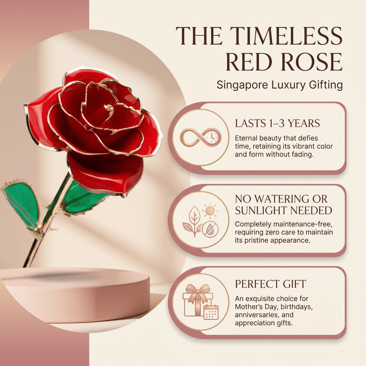 Eternal Preserved Rose Bloom - Real Rose Preserved - Eternal Love Series - Flowers - Rose Pink - Preserved Flowers & Fresh Flower Florist Gift Store