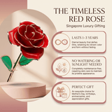 Eternal Preserved Rose Bloom - Real Rose Preserved - Eternal Love Series - Flowers - Rose Pink - Preserved Flowers & Fresh Flower Florist Gift Store