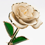 Eternal Preserved Rose Bloom - Real Rose Preserved - Eternal Love Series - Flowers - White - Preserved Flowers & Fresh Flower Florist Gift Store