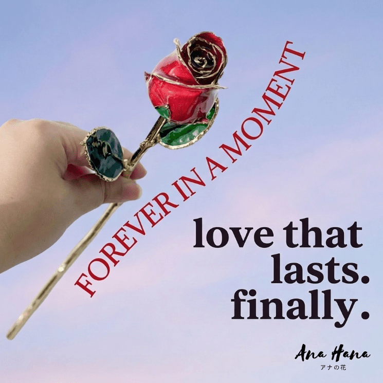 Eternal Rose - Roses That Last Forever - Flowers - Red - Preserved Flowers & Fresh Flower Florist Gift Store