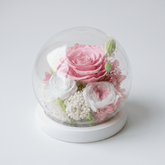 Rose Blowball - Light Pink - Flowers - Preserved Flowers & Fresh Flower Florist Gift Store