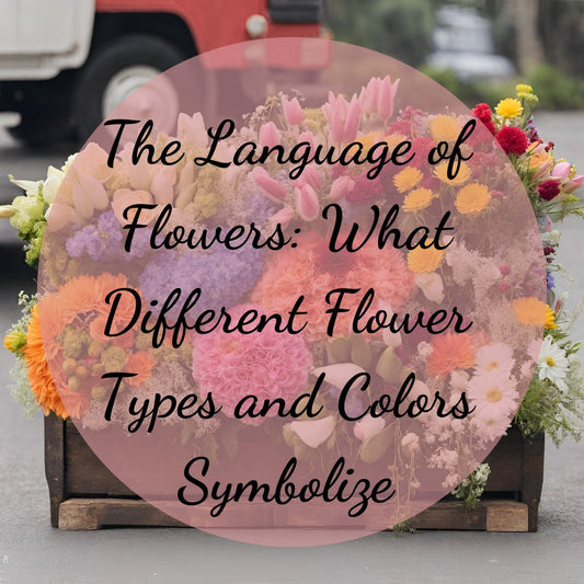 The Language of Flowers: What Different Flower Types and Colors Symbolize - Ana Hana Flower