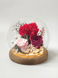 Carnation Blowball - Red - Flowers - Preserved Flowers & Fresh Flower Florist Gift Store
