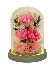 Daichi Carnation Dome - Pink - Flowers - Preserved Flowers & Fresh Flower Florist Gift Store