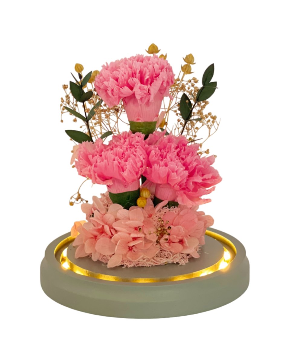 Daichi Carnation Dome - Pink - Flowers - Preserved Flowers & Fresh Flower Florist Gift Store