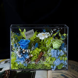 Enchanted Preserved Flower Box - Flowers - Early Spring - Preserved Flowers & Fresh Flower Florist Gift Store