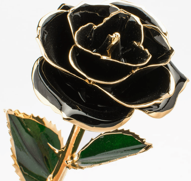 Eternal Preserved Rose Bloom - Real Rose Preserved - Eternal Love Series - Flowers - Black - Preserved Flowers & Fresh Flower Florist Gift Store