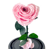 Heart-shaped Blush Rosie - Flower - Preserved Flowers & Fresh Flower Florist Gift Store