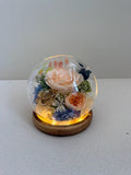 Rose Blowball - Champagne - Flowers - Preserved Flowers & Fresh Flower Florist Gift Store
