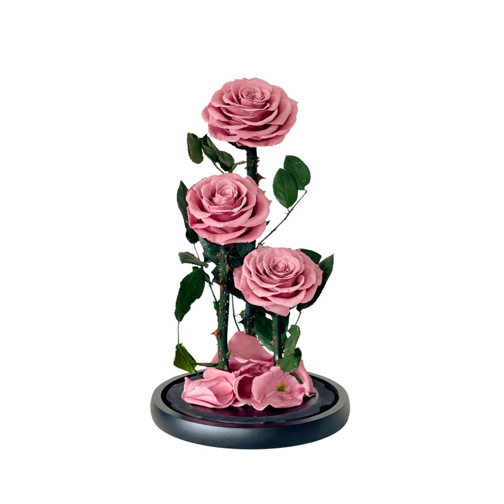 Rosie Pink - Flower - Preserved Flowers & Fresh Flower Florist Gift Store