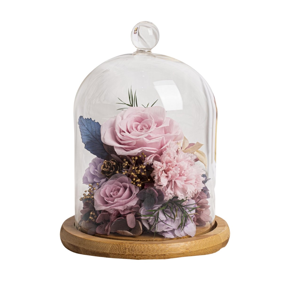 Carnation Bell Jar - Paddle Pop Purple (with box) - Flower - Preserved Flowers & Fresh Flower Florist Gift Store