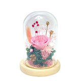 Blush Pink - Flower Dome - Flower - Preserved Flowers & Fresh Flower Florist Gift Store