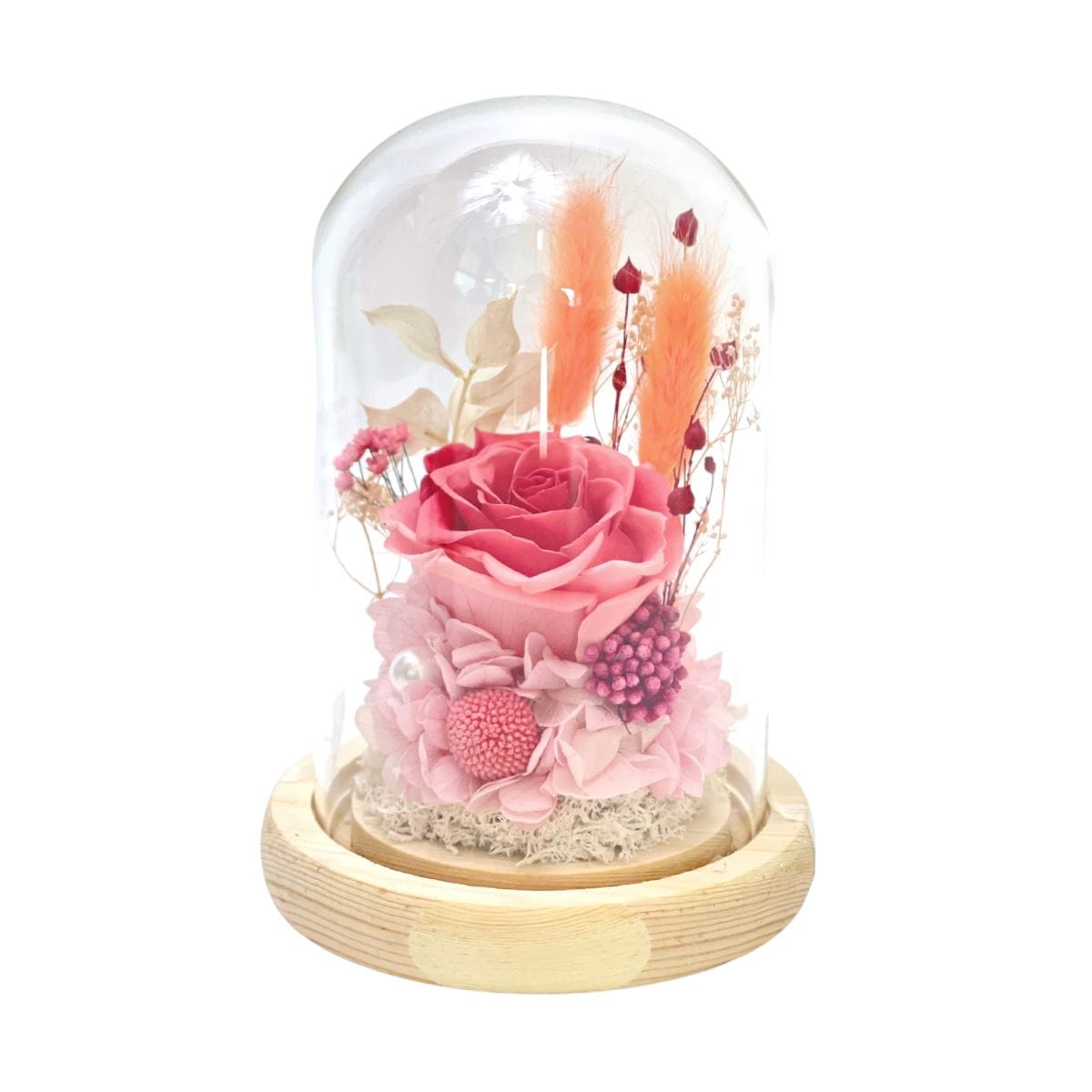 Bubblegum - Flower Dome - Flower - Preserved Flowers & Fresh Flower Florist Gift Store