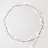 Fairy Lights - Add Ons - Warm - Preserved Flowers & Fresh Flower Florist Gift Store