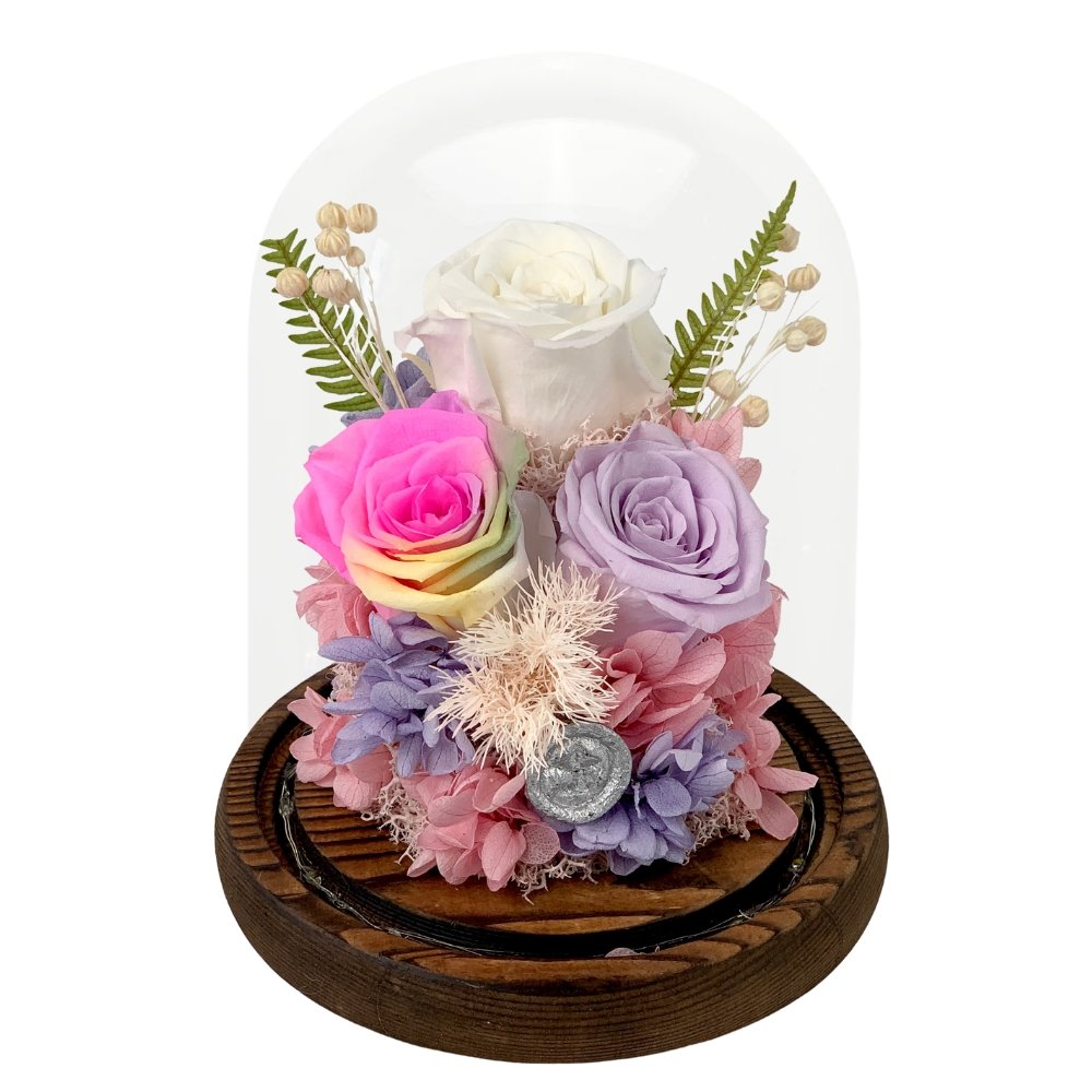 Aika Roses Dome - Rainbow - Flower - Preserved Flowers & Fresh Flower Florist Gift Store