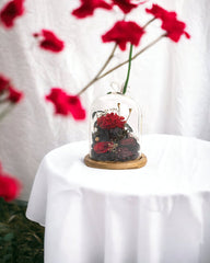 Carnation Bell Jar - Red Garnet (with box) - Flower - Preserved Flowers & Fresh Flower Florist Gift Store