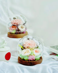 Carnation Blowball - Cuppa (with gift box) - Flower - Preserved Flowers & Fresh Flower Florist Gift Store