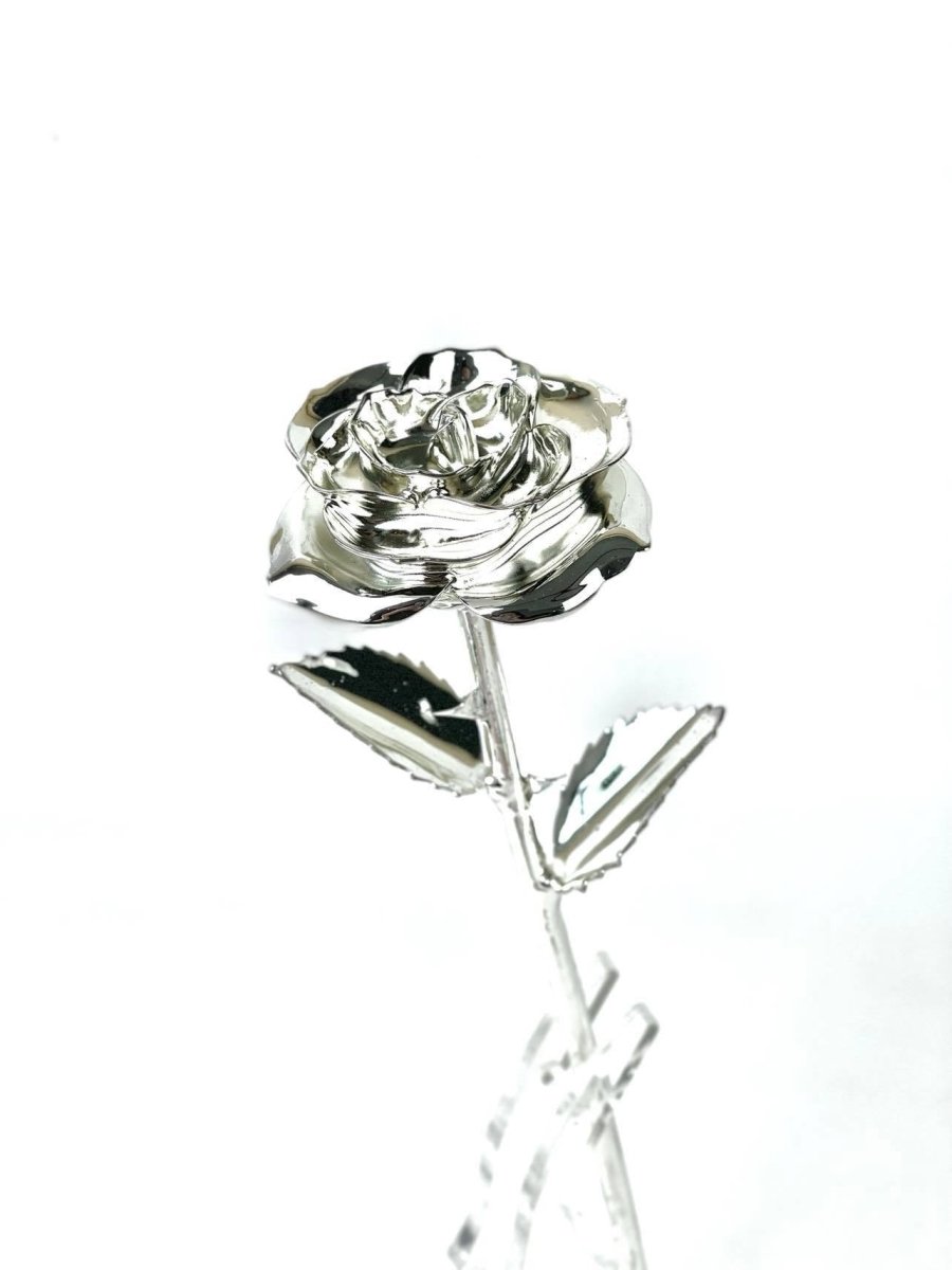 Eternal Preserved Rose Bloom - Real Rose Preserved - Eternal Love Series - Flower - Silver - Preserved Flowers & Fresh Flower Florist Gift Store