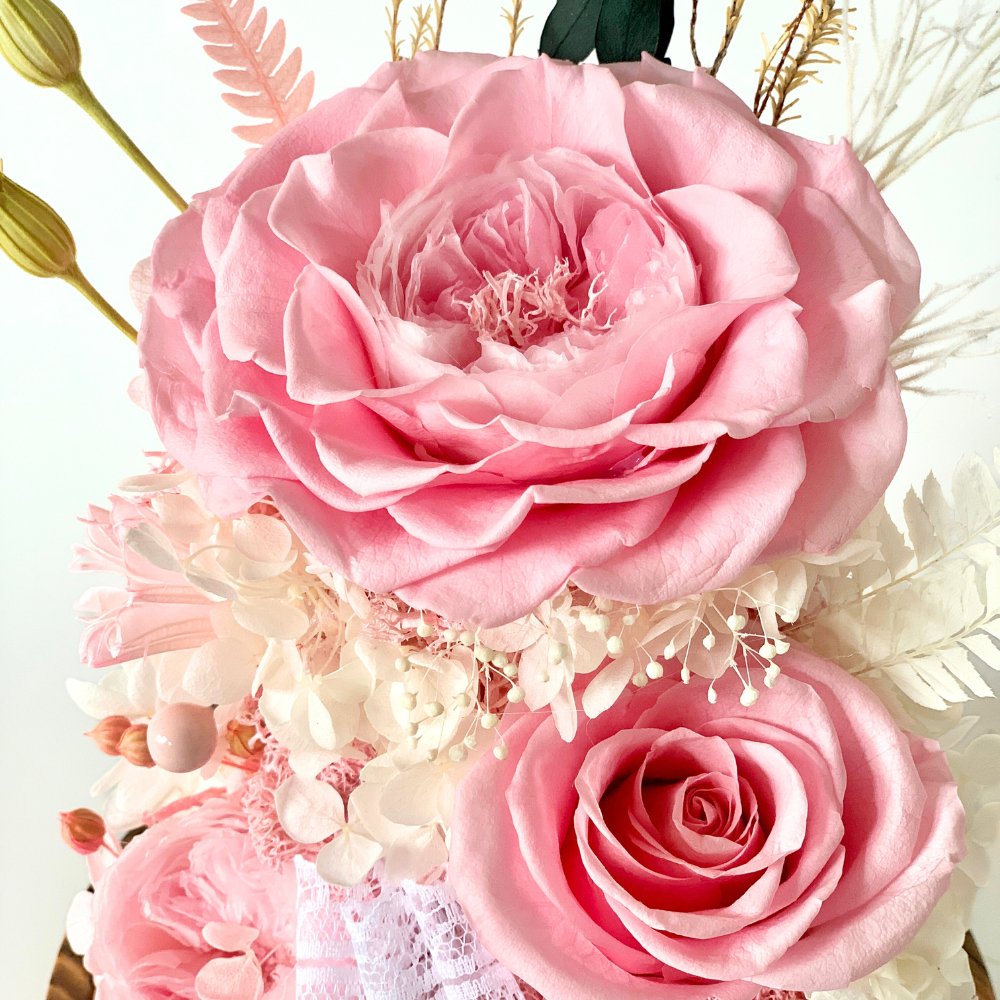 Hazel Roses (large dome with gift box) - Flower - Blush Pink - Preserved Flowers & Fresh Flower Florist Gift Store