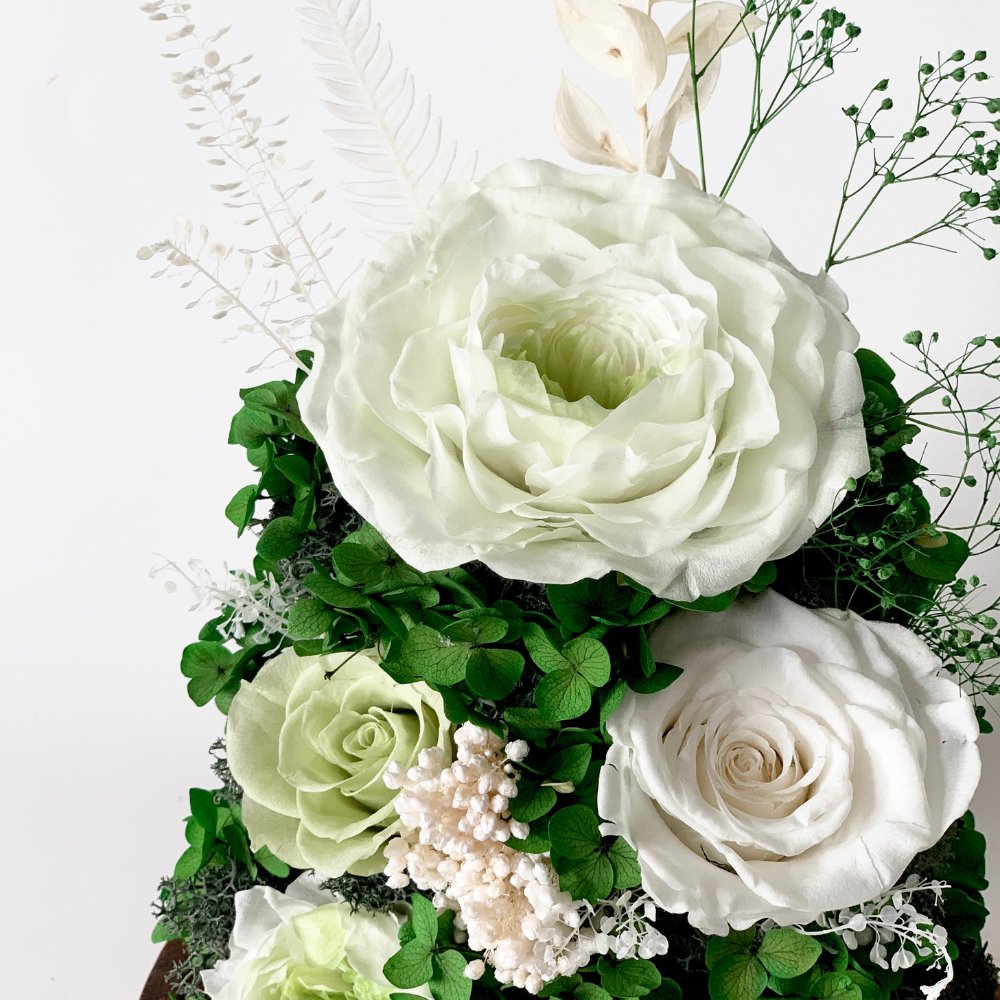 Hazel Roses (large dome with gift box) - Flower - Viridian Green - Preserved Flowers & Fresh Flower Florist Gift Store