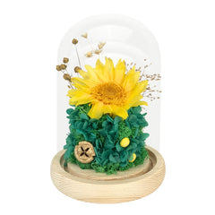 Sunflower Dome - Sunni Green - Flowers - Preserved Flowers & Fresh Flower Florist Gift Store