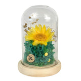 Sunflower Dome - Sunni Green - Flowers - Preserved Flowers & Fresh Flower Florist Gift Store